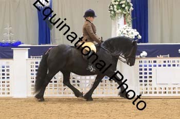 RBB-1022