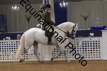 RBB-1024