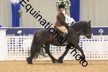 RBB-1034