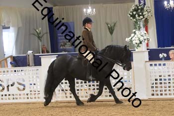 RBB-1036