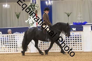 RBB-1037