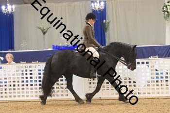 RBB-1038