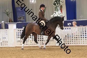 RBB-1040