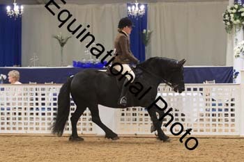 RBB-1064