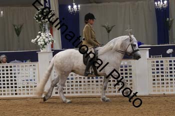 RBB-1066