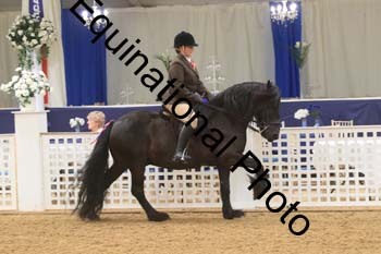 RBB-1068
