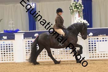 RBB-1069