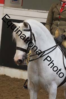 RBB-1249