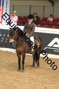RBB-1262