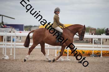 HOD-2006