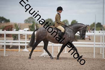 HOD-2010