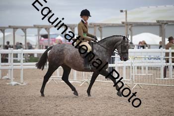 HOD-2012