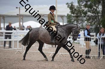 HOD-2013