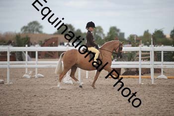 HOD-2048