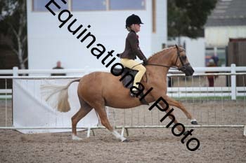 HOD-2068