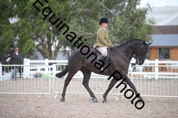 HOD-2437