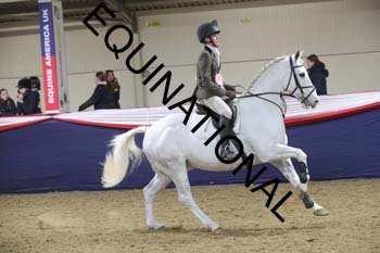 ZBB-1286