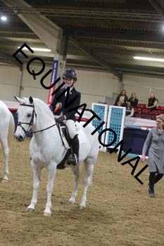 ZBB-1587