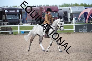 NOS-1207 NOS-1207