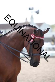 NOS-1344 NOS-1344