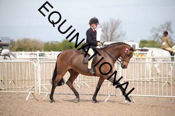NOS-1625 NOS-1625