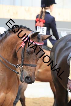 HUJ-1532