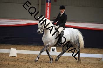ALR-2011