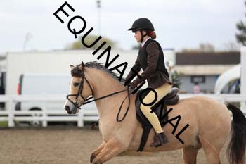 NWB-1226