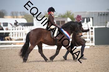EEK-2058