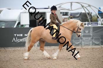 EEK-2101