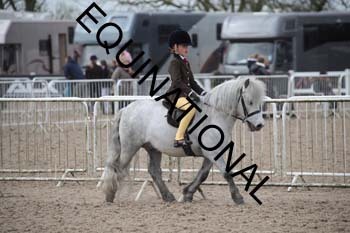 EEK-2116