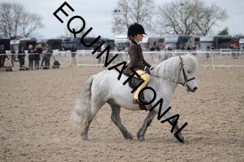 EEK-2131
