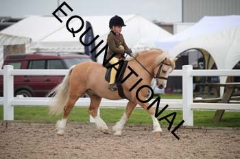 EEK-2203 EEK-2203