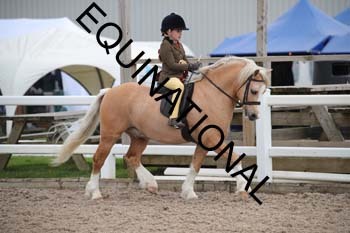 EEK-2204 EEK-2204