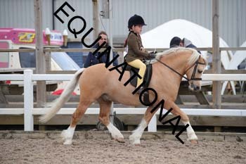 EEK-2206 EEK-2206