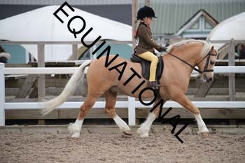 EEK-2208 EEK-2208