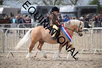 EEK-2240 EEK-2240