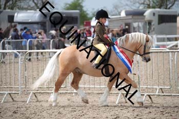 EEK-2241 EEK-2241