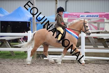 EEK-2252 EEK-2252