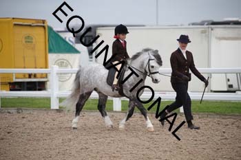 EEK-2279 EEK-2279