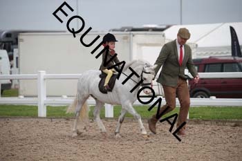 EEK-2291 EEK-2291