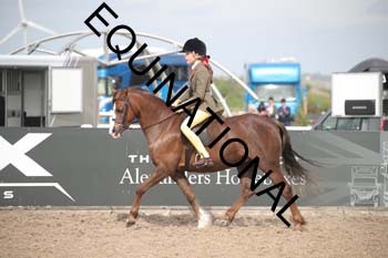 EEK-2509