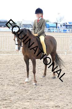 EEK-2564