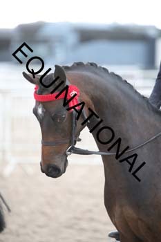 EEK-2813