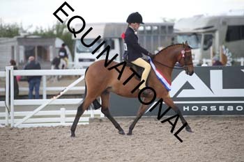 EEK-2826