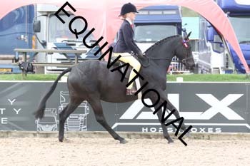 TTF-1189
