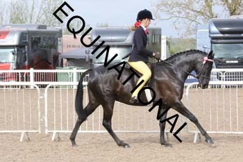 TTF-1200