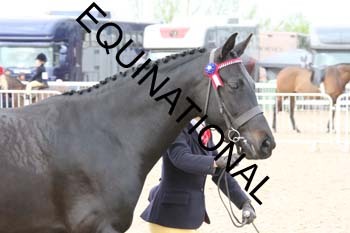 TTF-1232