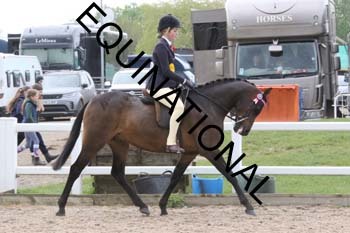 TTF-1289