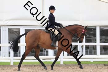 TTF-1498